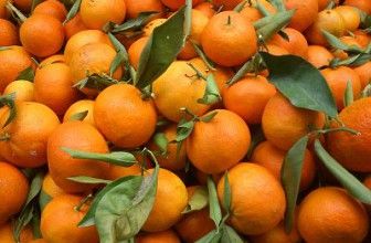 Frutas orgánicas: controversia en un mundo complejo.