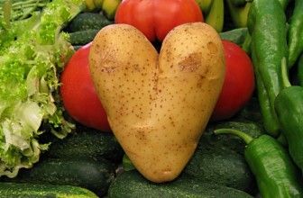 La patata: alimento principal del ser humano.